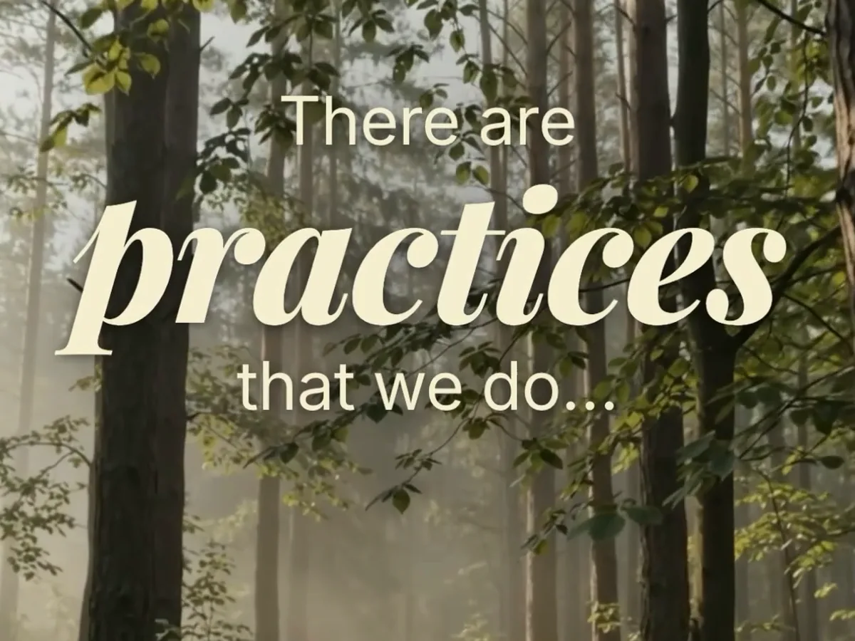 Sunlit forest with the text 'There are practices that we do', from an Arun Kriya Reiki video